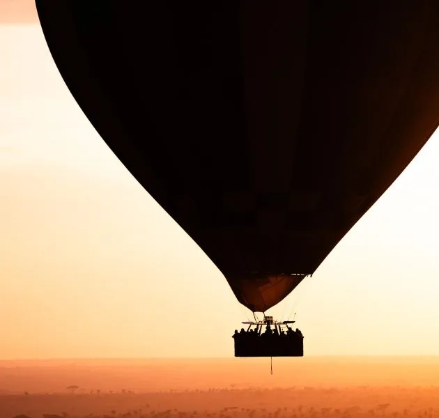 Hot Air Balloon