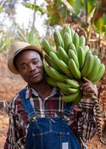 farm africa sustainability